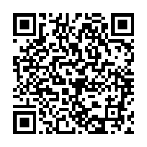 就连破船上的虎头和小狮子都顾不得进水慢慢下沉的船二维码生成