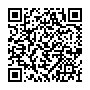 就连神机宗的梦五色和星域宗的落秋水也不例外二维码生成