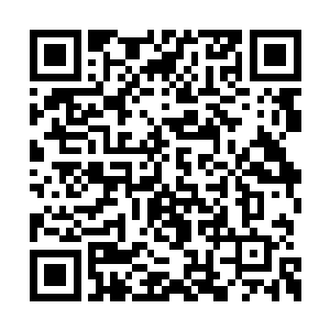 就连离开自己存在的域界都需要得到领袖的允许二维码生成