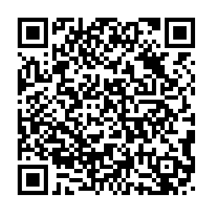 就连秦洛这种没有什么商业细胞的家伙也对这种投资没有什么信心二维码生成