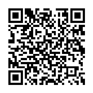 就连秦纵横白破局那样的人在她面前都铩羽而归二维码生成