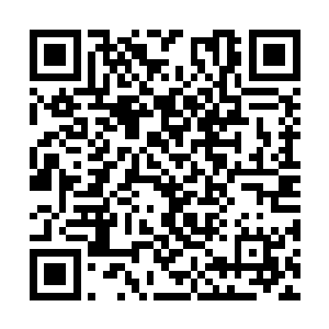 就连续放倒了七八个身材魁梧的强壮佣兵战士之后二维码生成