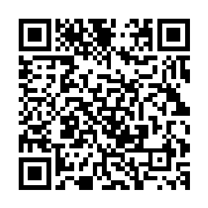 就连自身最强毒功都被五毒兽给完克的中年蛇妖便彻底扑街了二维码生成