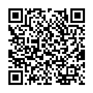 就连苏凡也觉得船只里面有可能是早上那个使者了二维码生成