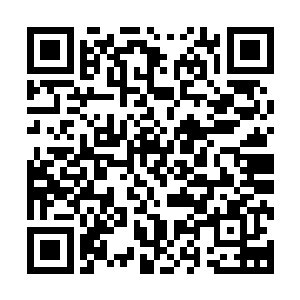 就连葵水体内的鲜血也开始疯狂地顺着她掌心的伤口激荡而出二维码生成