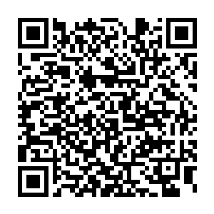 就连被长阳祖云霄以太祖神拳打的身受重创的长阳青云风也加入了进去二维码生成