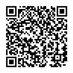 就连西夏和大元来的刺客都把知道的倒了个干净他也咬死了不开口二维码生成