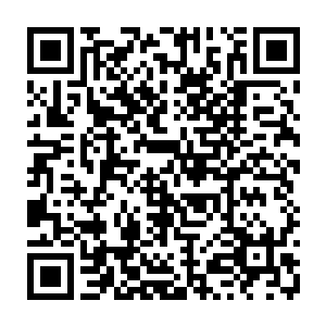 就连见多识广的大夏王朝老祖宗都是不曾认出这一池子的银浆究竟是什么东西二维码生成
