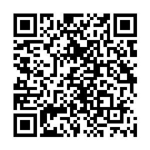 就连见过的龙形东西都丫的是在渡劫的时候吞噬的天劫化物二维码生成
