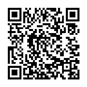 就连负责初审的地方法官等相关人员都被一起抓走了二维码生成