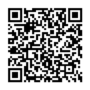 就连趴在车窗观看的凤君曜脸色也稍稍有了变化二维码生成