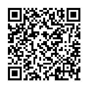 就连跟他签订了天道血誓的撒旦他也未必信得过二维码生成