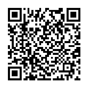 就连躺在中间一些未来得及走开的受伤和中毒人员二维码生成