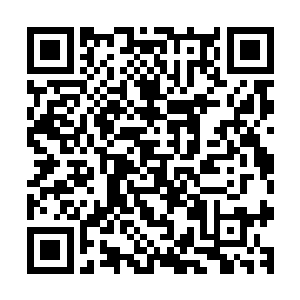 就连辅助也都会一把鼻涕一把泪地哭喊着自己没钱买眼买坩埚二维码生成