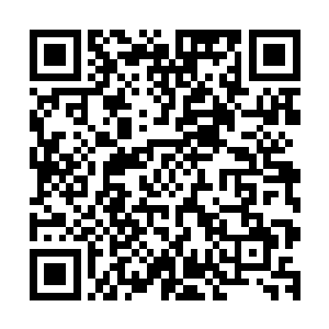 就连远在其他战线上的那些人类修者也感受到了这股惊天气势二维码生成