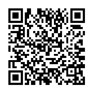 就连道陵这个在城里享过福的也对你的茶艺推崇备至二维码生成