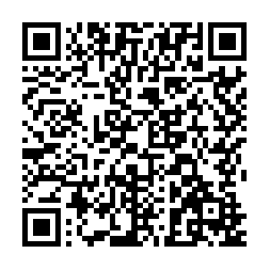 就连那两个半步仙王的一猿一鹏的本体也不过勉强达到了八品仙器初期二维码生成