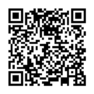 就连那个小领导眼镜男也躺在仇仲玉的脚根子底下生死不知二维码生成