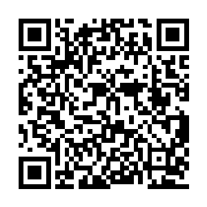 就连那些观众也都在大声的呼喊着高富帅的名字二维码生成