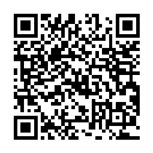 就连那战阵之中的一个个蚩家魔族的战魔也被激的大怒二维码生成