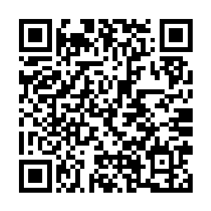 就连那正在疯狂对碰的水魔王与吞山兽都是荡目望来二维码生成