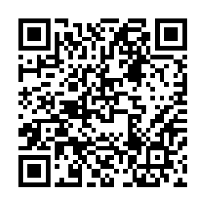 就连那熊熊燃烧的蓝心魔火也开始压制不住此人功力的会升二维码生成