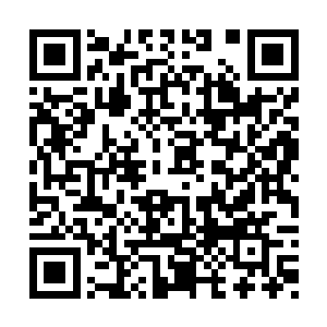 就连那硬如金刚的紫色皮肤也是烧出了森森白骨二维码生成
