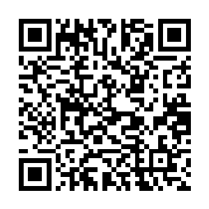 就连郡城内的数千万人都要跟随着你们一同烟消云散二维码生成