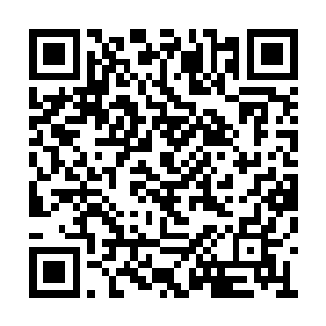 就连释言大师这对吴岩极其看不惯的须弥宗长老二维码生成