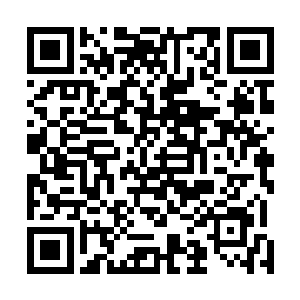 就连重伤未愈的天星也忍不住心中的好奇来到城墙上观战二维码生成