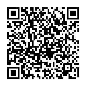 就连长老殿那边的大人物都不知道的……他们也隐约察觉到了这种潜在的威胁二维码生成