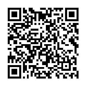 就连陈诚这个时候也非常好奇西浅为什么不愿意用奥巴马二维码生成