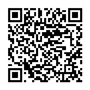 就连面对林封谨身边展开两翼的三里部骑手的弓箭点射了二维码生成