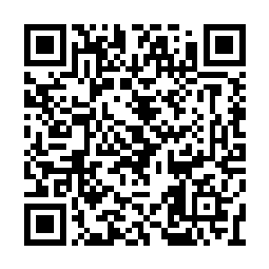 就连马上要放假的莫珊珊也搬过去暂住一段时间二维码生成