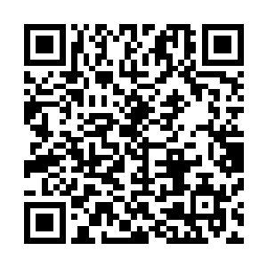 就连高宇门业的售货小姐都承认是他们向厂家发订单时失误二维码生成