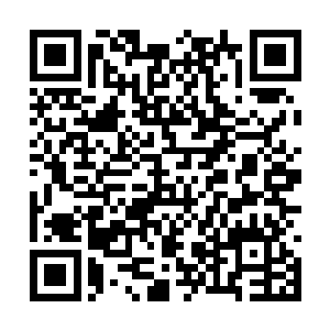 就连高层也对他占着资源修炼却没有成效很不满意二维码生成