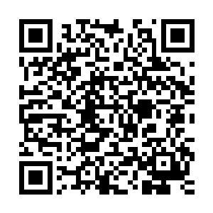 就连魔蛇岛那些杂碎中几个想先躲在洞中看看情况的狡猾的家伙二维码生成