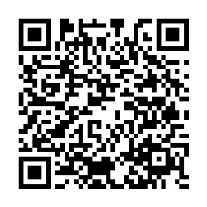 就连齐王和无邪也都是对夏天默默的竖起了大拇指二维码生成