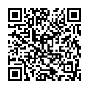 就遇到刚从明瑟院那边回来的尹二奶奶和曾三奶奶一行人二维码生成