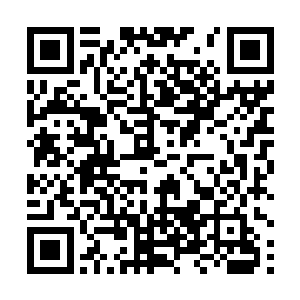 就那几个人鸟人要是碰到我们的话绝对让他们有来无回二维码生成