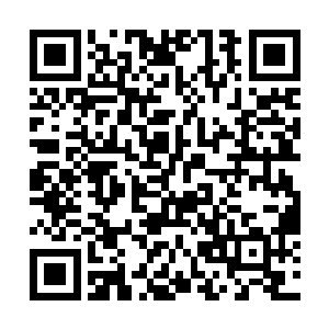 就那样脸凑在车窗处目光继续关注别墅紧闭的大门处二维码生成