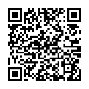 就阿怒那犊子警惕的按住腰间坐在铁架子台阶上张望左右二维码生成