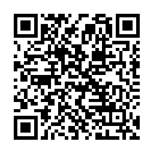 就陆续吸引着各大门派和古武世家的武者进入其中探险二维码生成