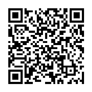 就难以抵抗楚旬体内圣甲虫基因所赋予的吞噬力量二维码生成