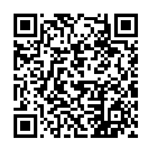 就非楚枫丹田内那片散发着远古气息的竹简不可了二维码生成