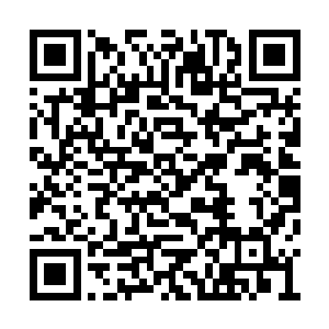 就顿时见到了它背后若马匹一般的鬃毛无风自动二维码生成