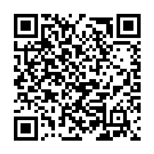 就飞落在大门前比其他区域延伸出来一截的地面上二维码生成