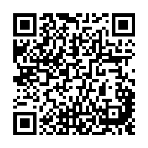 尸体表面那干枯到毫无水份的几乎一下子泛起金属般的光泽二维码生成