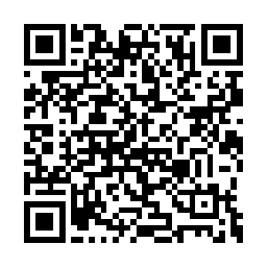 尸兵王蛊的破灭使得整个尸兵大军都失去了控制二维码生成