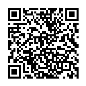 尸海鬼山乃是师尊传授给你的仅次于诛神恶咒的秘技二维码生成